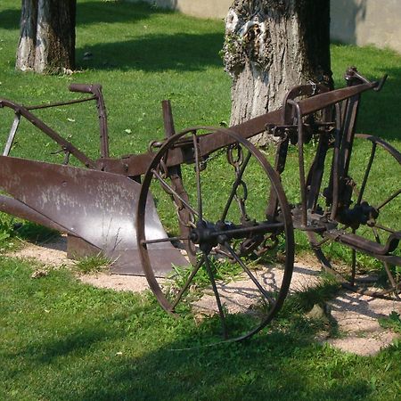 Agriturismo Le Cipressine Meolo Dış mekan fotoğraf