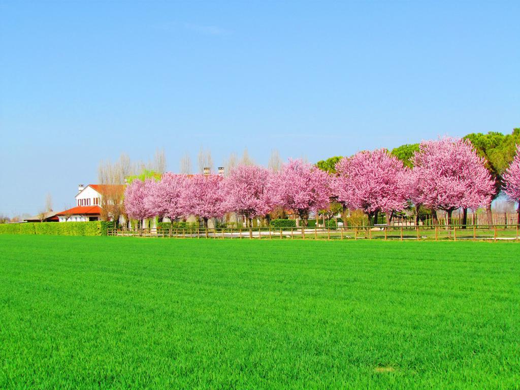 Agriturismo Le Cipressine Meolo Dış mekan fotoğraf
