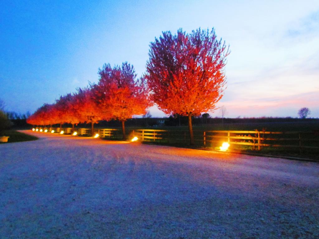 Agriturismo Le Cipressine Meolo Dış mekan fotoğraf